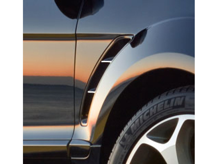 Chrome moulding trim for vents Ford S-Max