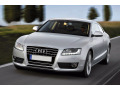 Radiator grill chrome trim compatible with Audi A5 Cabriolet 09-11 Audi A5 Coup&eacute; 07-11 Audi A5 Sportback 09-11