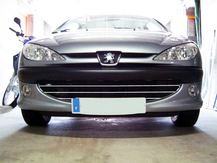 Radiator grill chrome trim compatible with Peugeot 206 Peugeot 206 CC Peugeot 206 SW honeycomb
