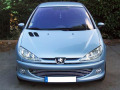 Radiator grill chrome trim compatible with Peugeot 206 Peugeot 206 CC Peugeot 206 SW