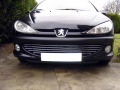 Radiator grill chrome trim compatible with Peugeot 206 Peugeot 206 CC Peugeot 206 SW