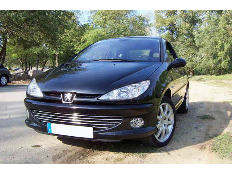 Radiator grill chrome trim compatible with Peugeot 206 Peugeot 206 CC Peugeot 206 SW