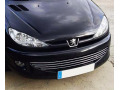 Radiator grill chrome trim compatible with Peugeot 206 Peugeot 206 CC Peugeot 206 SW