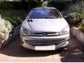 Radiator grill chrome trim compatible with Peugeot 206 Peugeot 206 CC Peugeot 206 SW