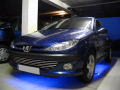 Radiator grill chrome trim compatible with Peugeot 206 Peugeot 206 CC Peugeot 206 SW