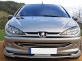 Radiator grill chrome trim compatible with Peugeot 206 Peugeot 206 CC Peugeot 206 SW