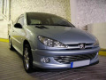 Radiator grill chrome trim compatible with Peugeot 206 Peugeot 206 CC Peugeot 206 SW