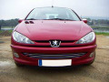 Radiator grill chrome trim compatible with Peugeot 206 Peugeot 206 CC Peugeot 206 SW