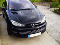 Radiator grill chrome trim compatible with Peugeot 206 Peugeot 206 CC Peugeot 206 SW
