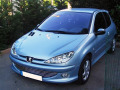 Radiator grill chrome trim compatible with Peugeot 206 Peugeot 206 CC Peugeot 206 SW