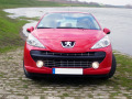 Radiator grill chrome trim compatible with Peugeot 207 06-12 Peugeot 207 CC 07-15 Peugeot 207 SW 07-13