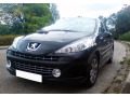 Radiator grill chrome trim compatible with Peugeot 207 06-12 Peugeot 207 CC 07-15 Peugeot 207 SW 07-13