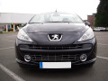 Radiator grill chrome trim compatible with Peugeot 207 06-12 Peugeot 207 CC 07-15 Peugeot 207 SW 07-13