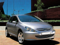 Radiator grill chrome trim compatible with Peugeot 307 01-05 Peugeot 307 CC 01-05 Peugeot 307 SW 01-