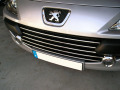 Radiator grill chrome trim compatible with Peugeot 307 05-09 Peugeot 307 CC 05-09 Peugeot 307 SW 05-09
