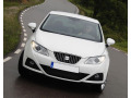 Radiator grill chrome trim compatible with Seat Ibiza 08-17 & Seat Ibiza ST