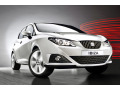 Radiator grill chrome trim compatible with Seat Ibiza 08-17 & Seat Ibiza ST