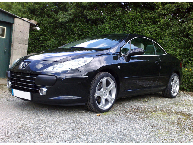 Side windows chrome trim Peugeot 307 0105  Peugeot 307 CC 0105