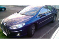 Side windows chrome trim Peugeot 407