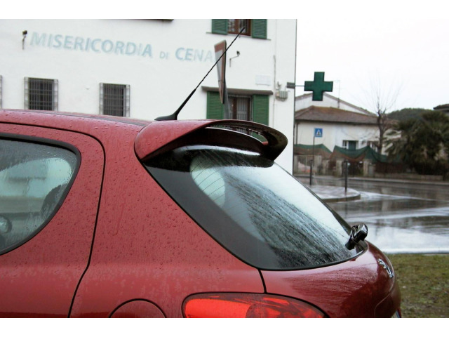 Spoiler  fin Peugeot 207