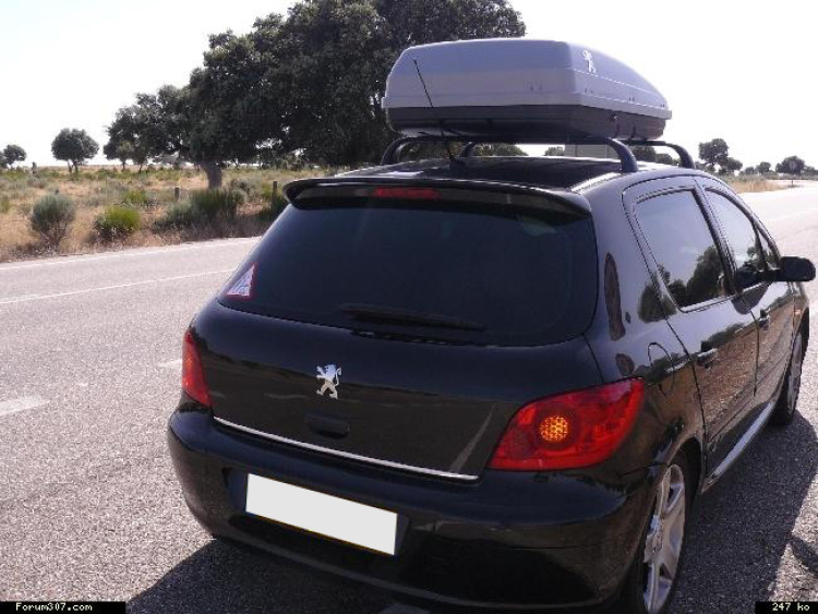 Trunk chrome trim Peugeot 106 Peugeot 107 Peugeot 108 Peugeot 205 Peugeot 206 Peugeot 206 CC Peugeot 206 plus + Peugeot 306 Peugeot 306 CC Peugeot 307 01-05 Peugeot 307 05-09 Peugeot 307 CC 01-05 Peug